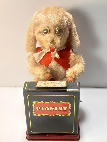 Jolly pianist dog - jolly,
