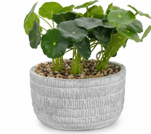 Faux plants indoor artificial - faux,
