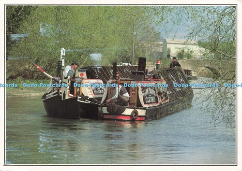 D226237 traditional - d226237,