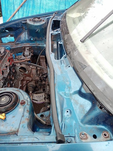 Proton jumbuck engine - engine, bay
