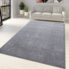 Light Grey Rug Large XL Small