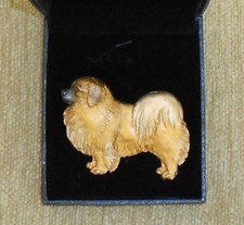 TIBETAN SPANIEL DOG  Breed