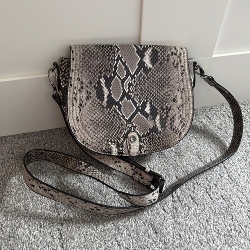 Next animal snakeskin - animal,