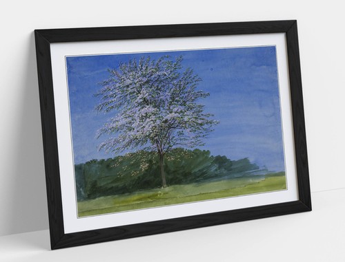 Study tree in - a,