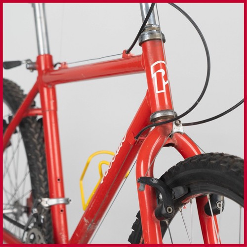 Pecchio campagnolo mtb - campagnolo,