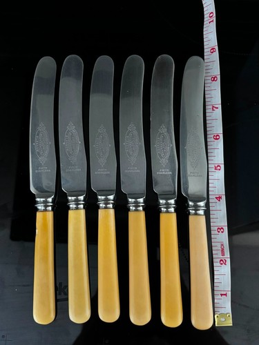 Faux bone handled knives set - faux,