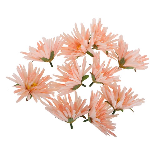 Pcs easter cactus - ,