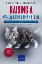 Raising a Norwegian Forest Cat