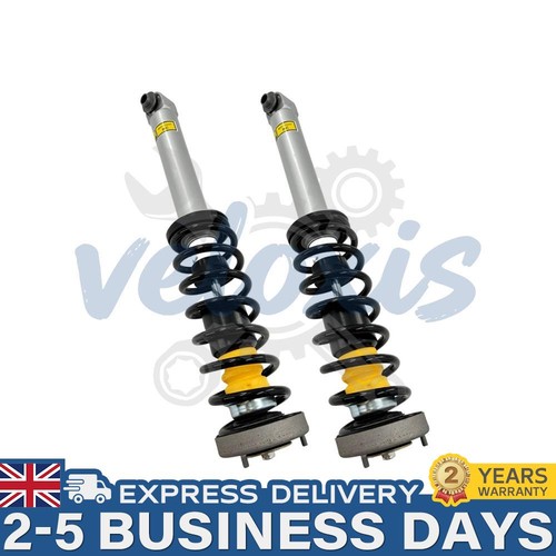 Pair rear shock struts assys - pair,