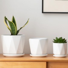 Octagon Ceramic Plant Pots -