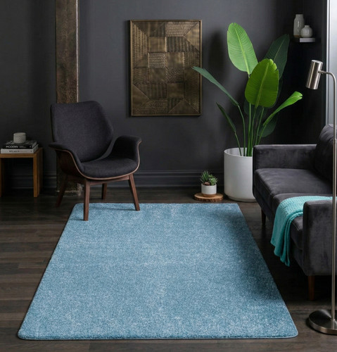 Soft fluffy shaggy rug - soft,