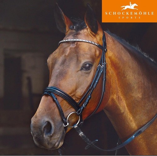 Schockemohle coventry snaffle - coventry,