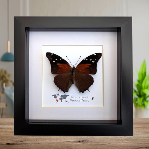 Framed historis acheronta - framed,