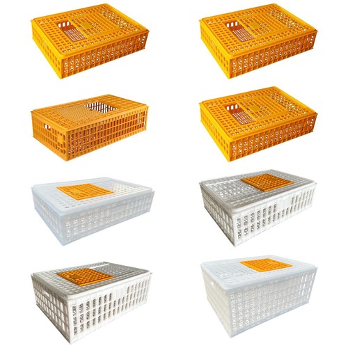 Poultry carrier crate chicken - poultry,