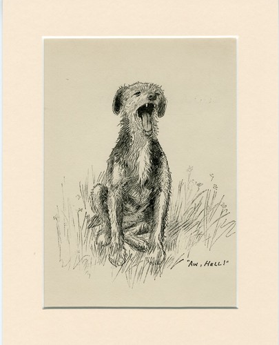 Irish terrier vintage 1939 - irish,