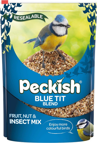Peckish blue tit bird - bird, seed