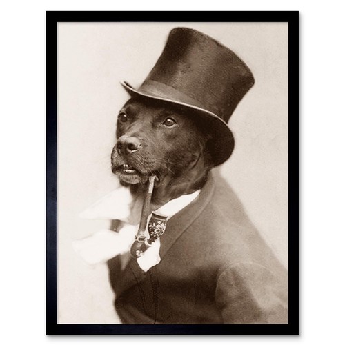 Benque kindermann dog smoking - benque,