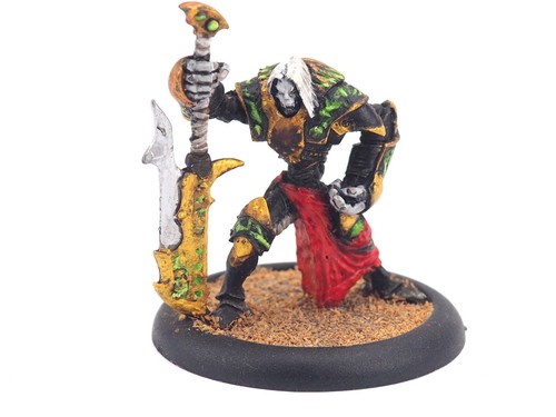 Privateer press warmachine - privateer,