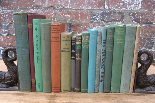 Vintage natural history - natural,