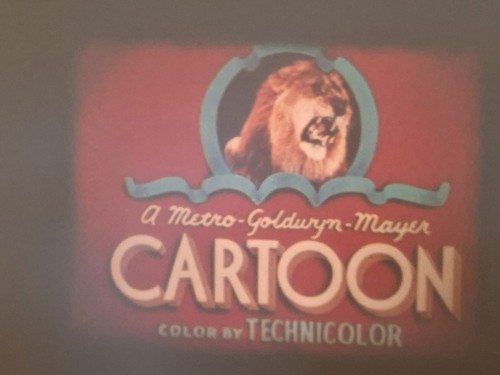Tom and jerry tee - tom,