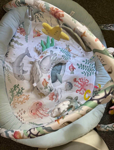 Ocean theme baby bouncing - baby,