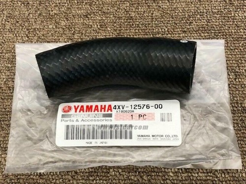 Yamaha fz1 2001 - yamaha,