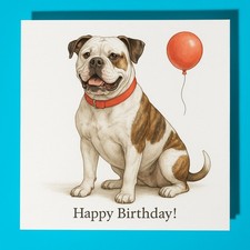 American bulldog happy - american,