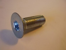 Genuine Lely Welger CSK Bolt