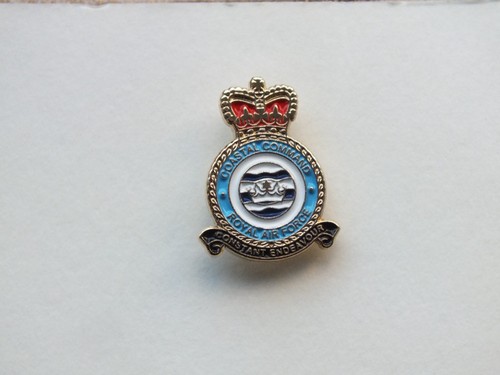 Lapel pin badge royal air - pin,
