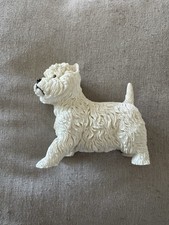 Westie Dog West Highland