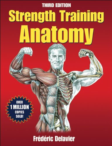 Strength training anatomy - strength,