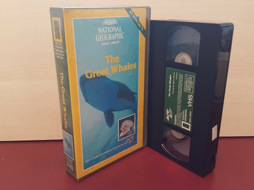 The great whales national - whales,