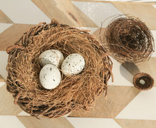 Vintage bird nest decorative - vintage,