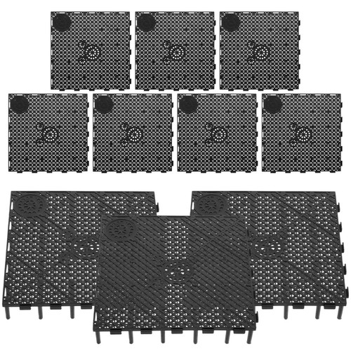 10pc aquarium fish - fish, tank