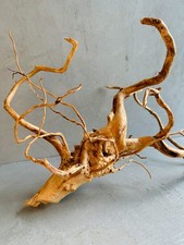 Azalea roots terrarium - l, |