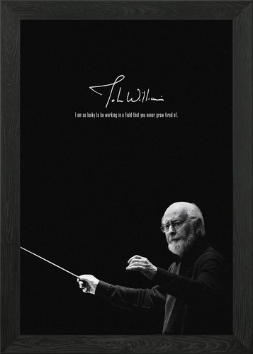 John williams framed - framed, art