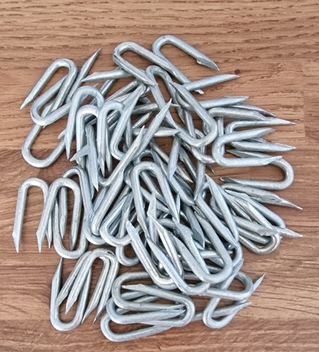 Galvanised staples nails - galvanised,