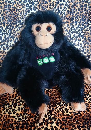 Dublin zoo plush - zoo,