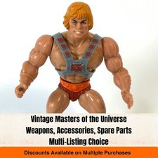 Masters Universe Figure