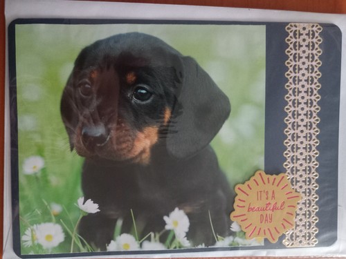 Handmade puppy card - puppy, and