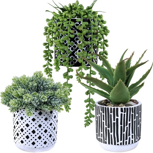 Pcs small potted succulents - 3,