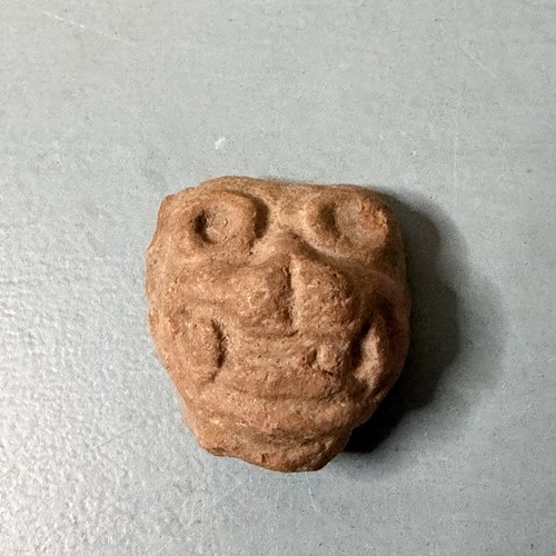 Fine pre columbian dragon - dragon, head