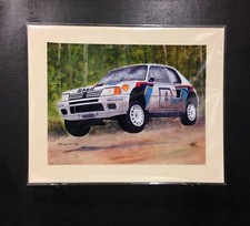Peugeot 205 T16 E1  Winners