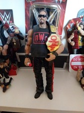 WWE Kevin Nash Wrestling