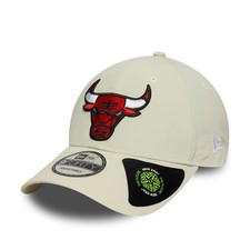 NEW ERA CHICAGO BULLS BASEBALL