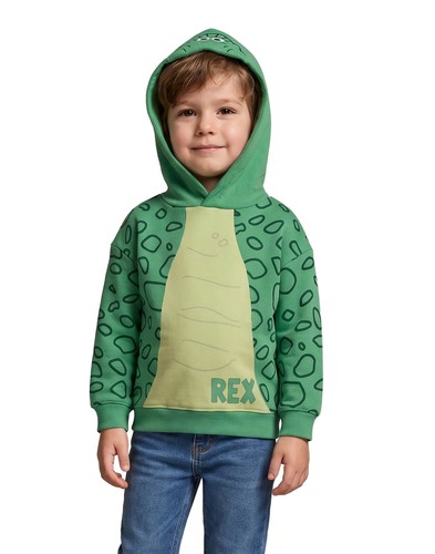 Disney hoodie boys - disney,