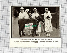 C947) Red Cross Fete Belfast Donkey & Dog Balloted - 1918 Cutting
