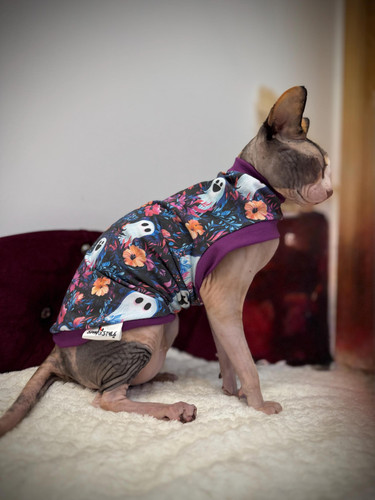 Cotton sphynx cat - cotton, t-shirt