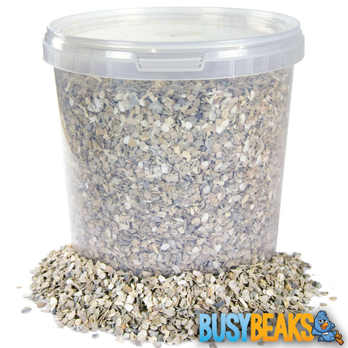 Busybeaks hen sized oyster - busybeaks,