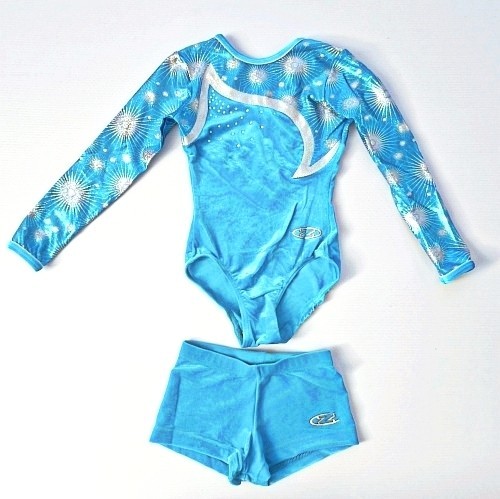 The zone long sleeved leotard - the,